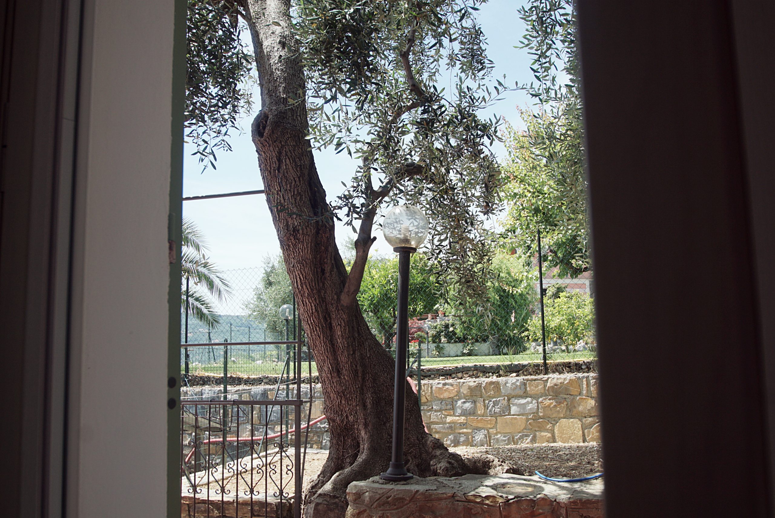 b&b il colle degli ulivi