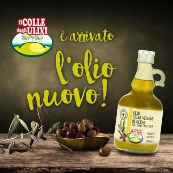OLIO NOVELLO ANNATA 2025/26
