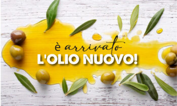 OLIO NOVELLO ANNATA 2025/26